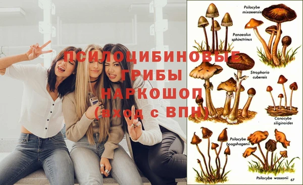 соль курить ск Алзамай