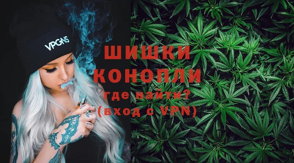 индика Новозыбков
