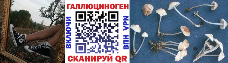 blacksprut маркетплейс  Тайшет  Галлюциногенные грибы Magic Shrooms 